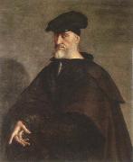 Sebastiano del Piombo portrait of andrea doria Spain oil painting artist